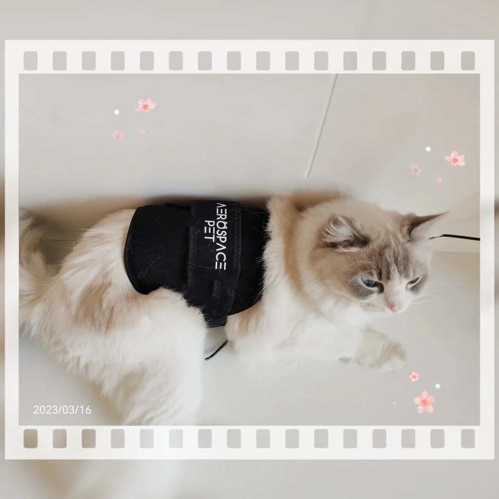Pet Red Light Therapy Pad, Infrared Light for Joint and Muscle Pain Relief